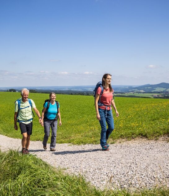 Pilgerweg Nußdorf ©Salzburger Seenland