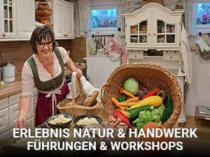 Guided tours & workshops in Salzburg Seenland